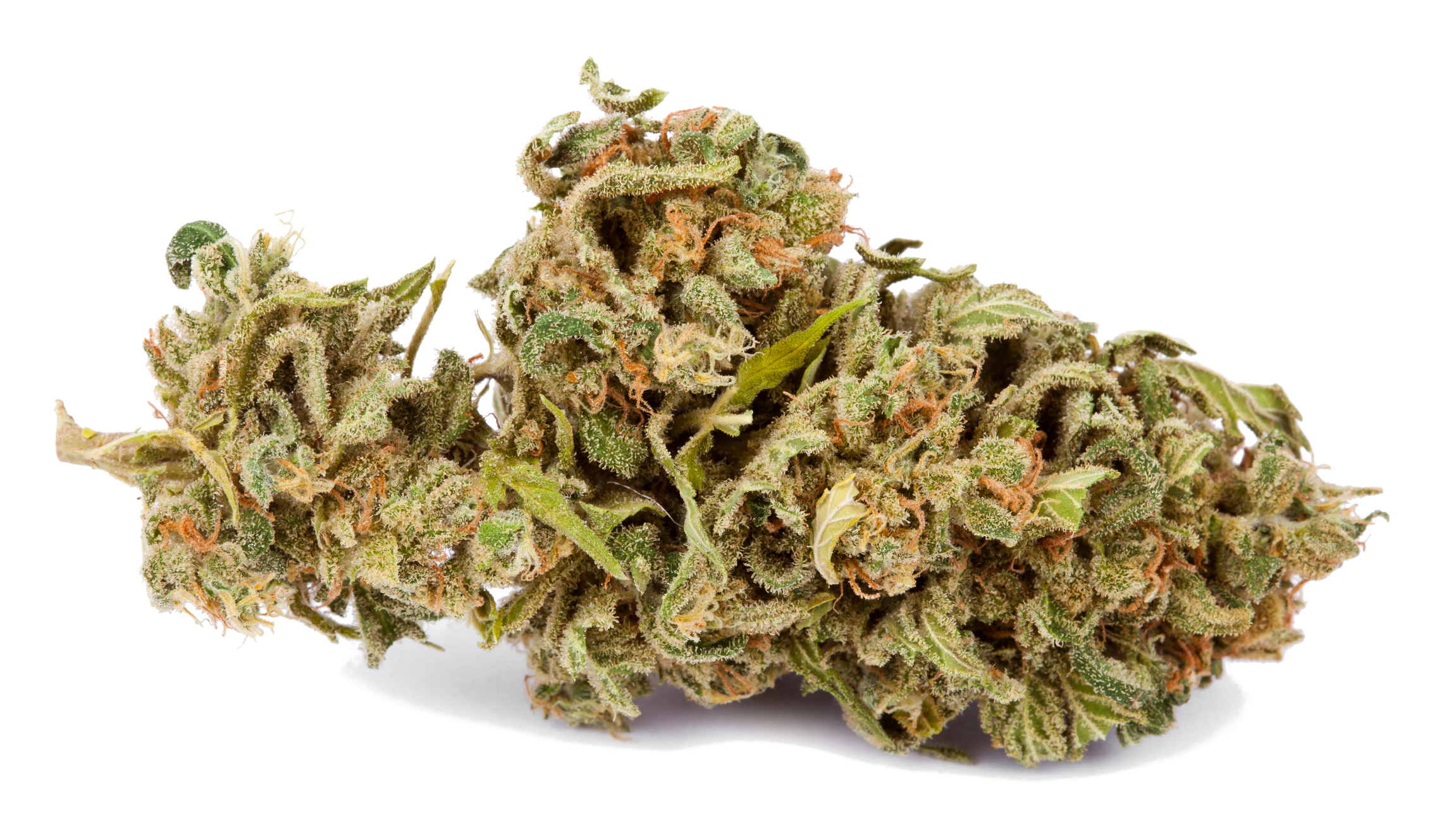 Commandez en ligne 25g de Charlotte CBD - Douceur et Serenite Naturelle Commandez en ligne 25g de Charlotte CBD - Douceur et Serenite Naturelle